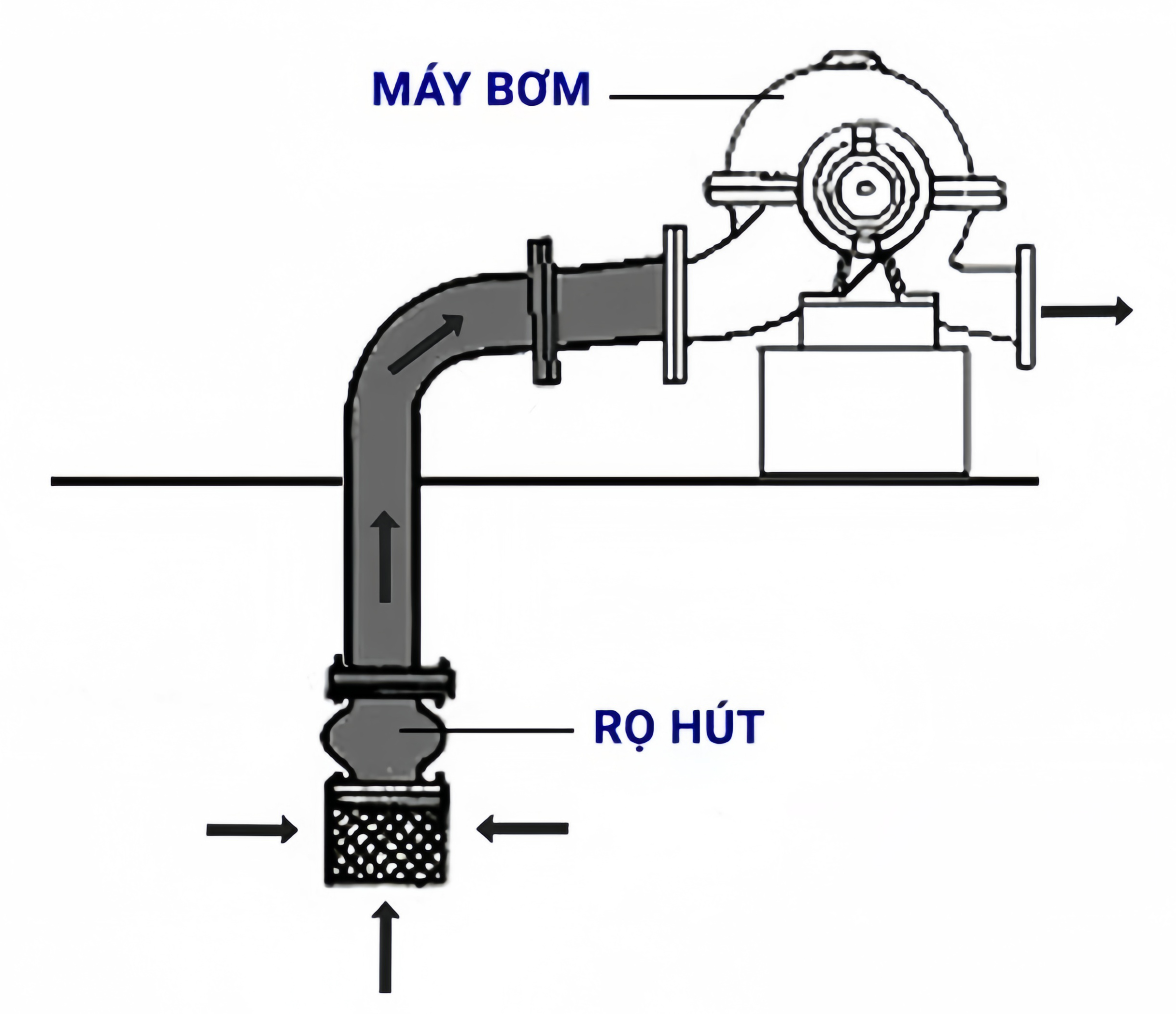 Hình ảnh công dụng van rọ bơm