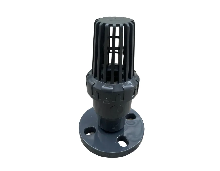 Rọ bơm 1 chiều nhựa mặt bích