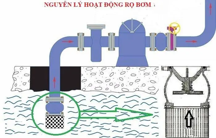 Nguyên lý hoạt động của rọ bơm