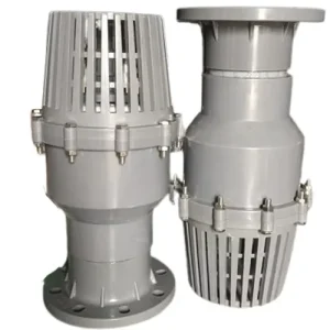 Rọ bơm nhựa mặt bích PVC