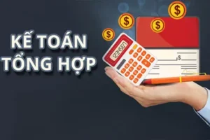 Tuyển dụng Kế toán tổng hợp