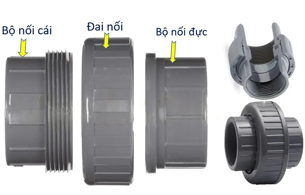 Cấu tạo