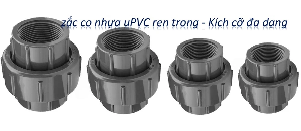 Kích cỡ đa dạng