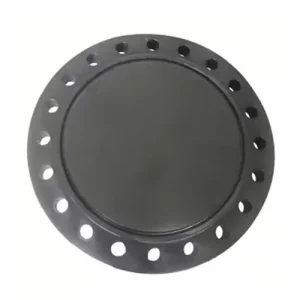 Mặt bích mù uPVC