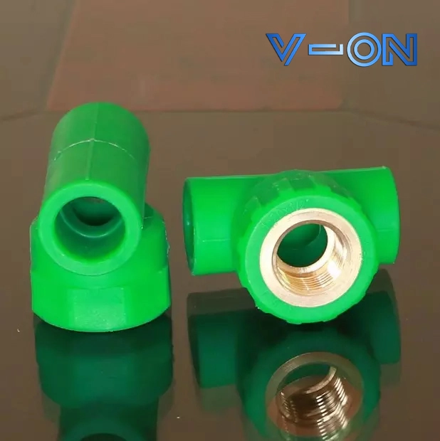 Tê ren trong PPR Minh Hòa