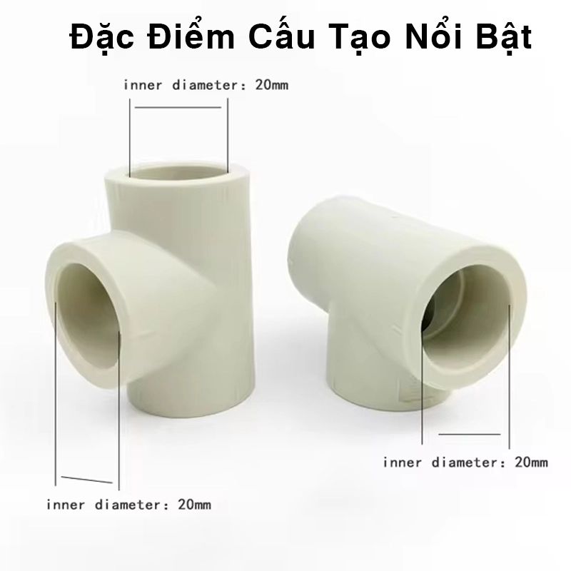 Đặc Điểm Cấu Tạo Nổi Bật