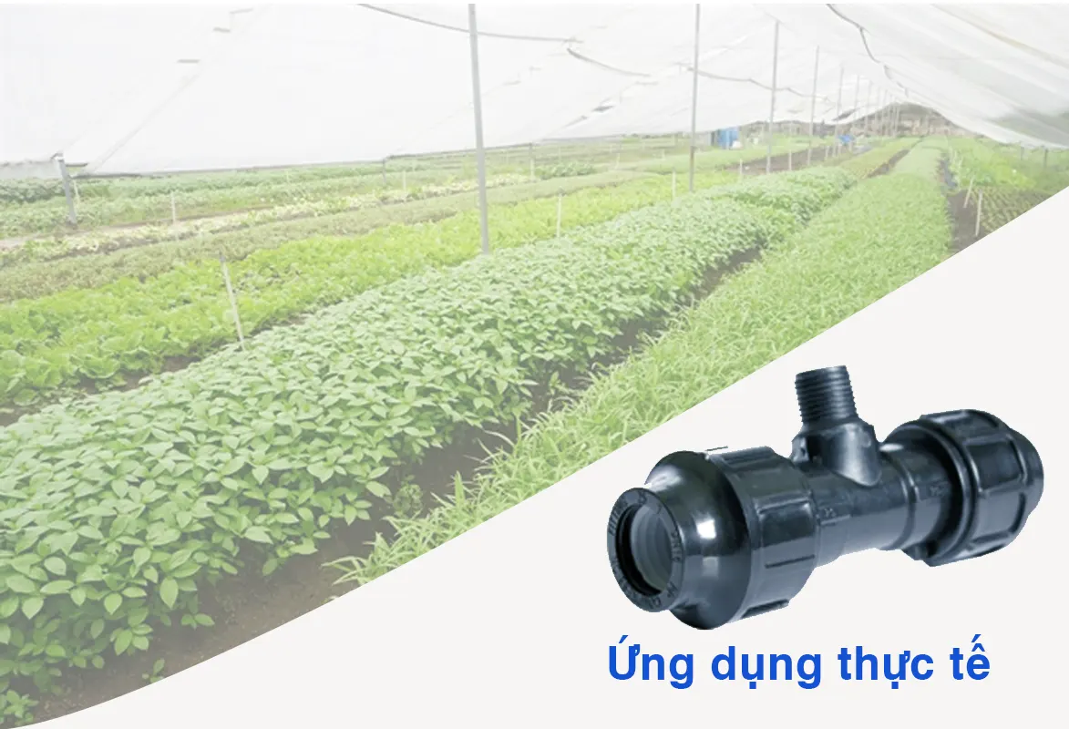 Ứng dụng thực tế