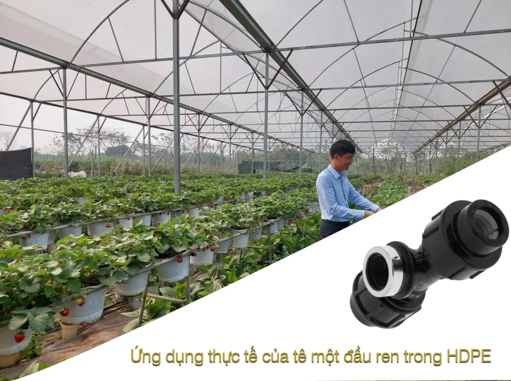 Ứng dụng thực tế của tê một đầu ren trong HDPE