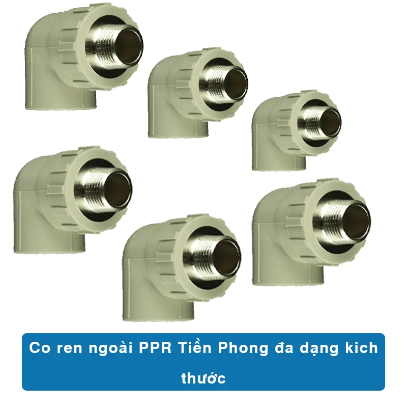 Co ren ngoài PPR Tiền Phong đa dạng kich thước