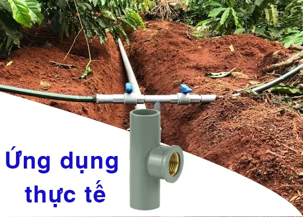 Hình ảnh thực tế te ren trong