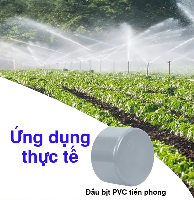 Ứng dụng đầu bịt PVC tiền phong