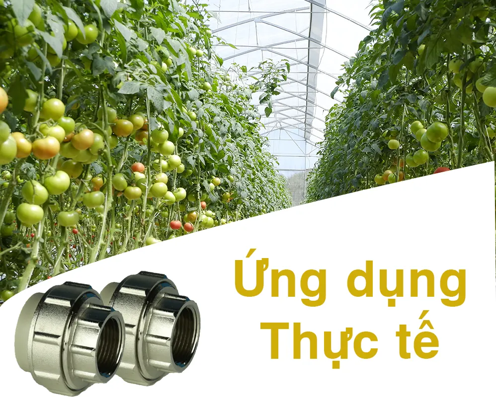 Ứng dụng thực tế