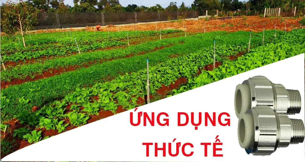 Ứng dụng thức tế