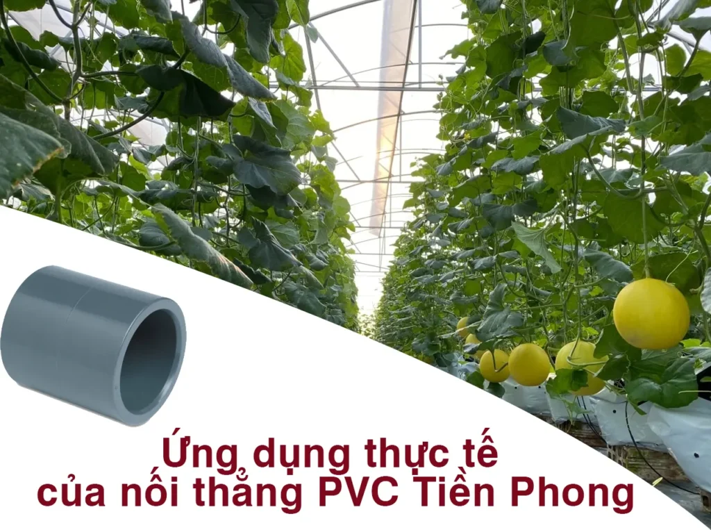 Ứng dụng thực tế của nối thẳng PVC Tiền Phong