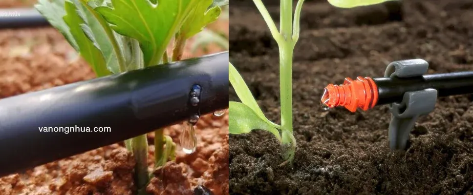 Lưu lượng nước của ống tưới Dekko 12mm