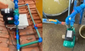 Ứng dụng của rắc co 32 PPR