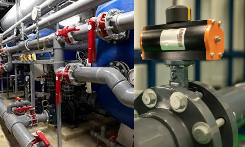 Nơi mua van bướm