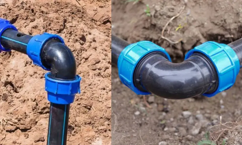 Trong lĩnh vực nông nghiệp