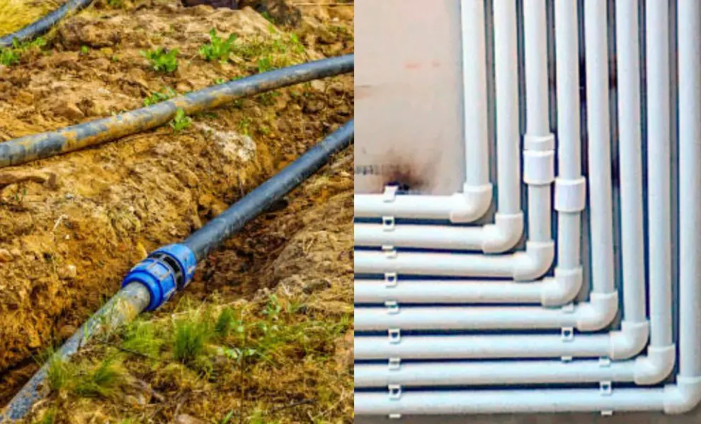 Ứng dụng măng sống nhựa