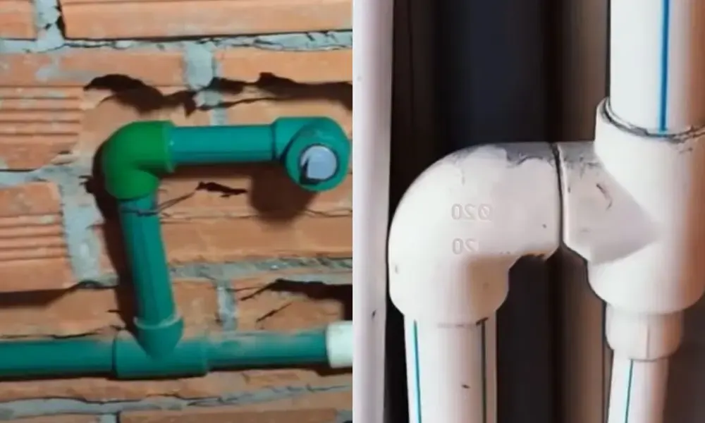 Ưu thế của cút PPR 20