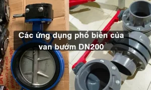 Van bướm DN200