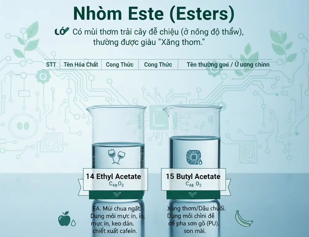 Nhóm Este (Esters)