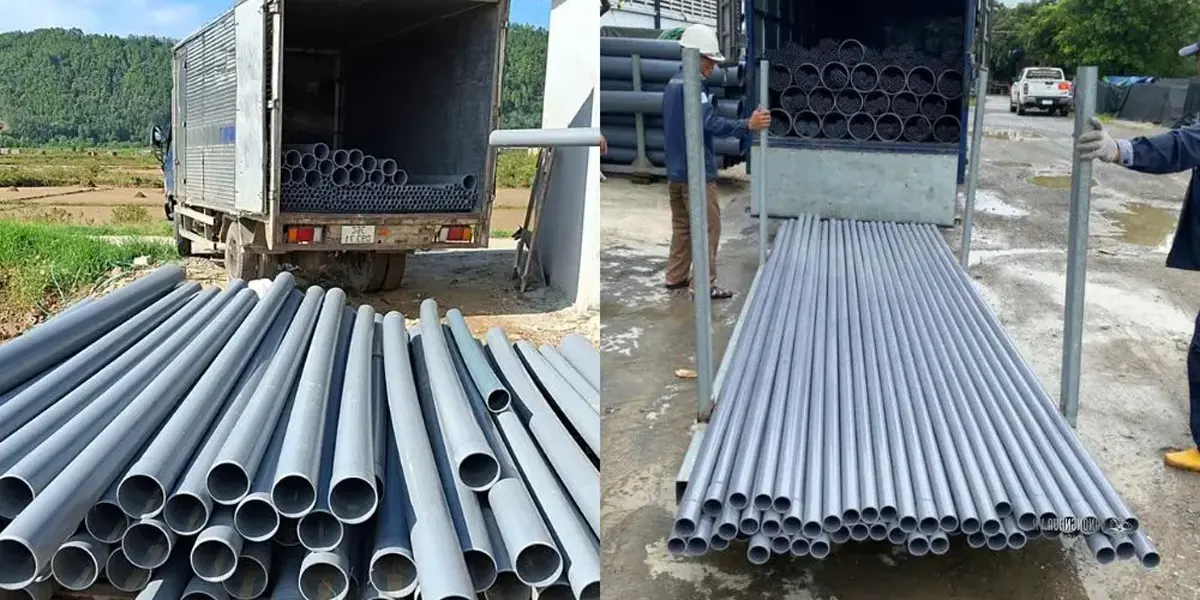 Lĩnh vực hoạt động.