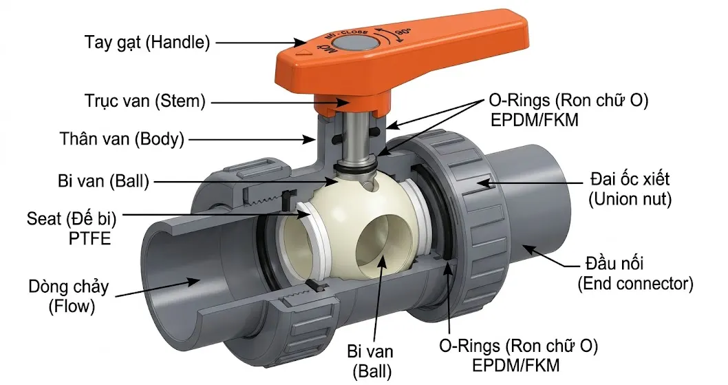 Cấu Tạo Chi Tiết Của Van Bi True Union
