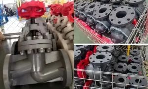 Van cầu nhựa (Globe Valve)