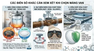 Các Biến Số Khác Cần Xem Xét Khi Chọn Màng Van