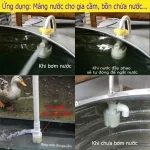 Ứng Dụng Thực Tế Của Van Phao Nhựa Theo Từng Loại Vật Nuôi