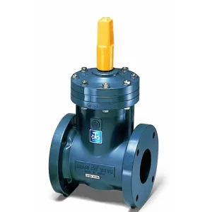 Van cổng nắp chụp Type-P (Cap Type) Asahi