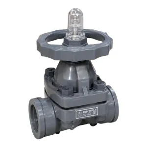 Van màng nhựa nối ren Asung